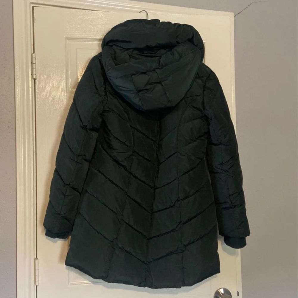 Emerald green Medium Steve Madden jacket - Picture 5 of 8